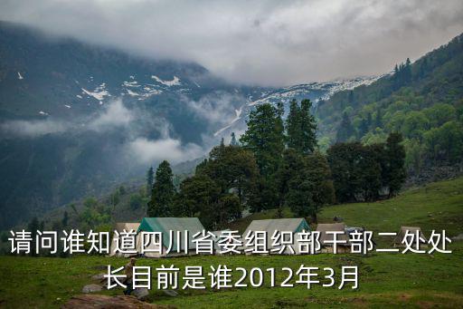 成都市委組織部部務(wù)委員黃晶，重慶市委組織部部務(wù)委員是什么級別