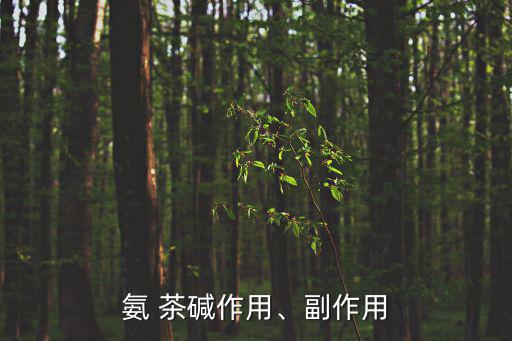 氨 茶堿作用、副作用