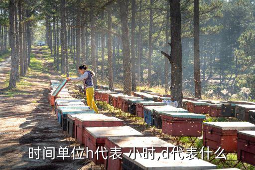 小時縮寫,時間表和空氣污染指數數據來自網絡