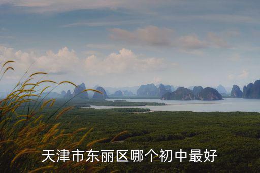 天津市東麗區哪個初中最好