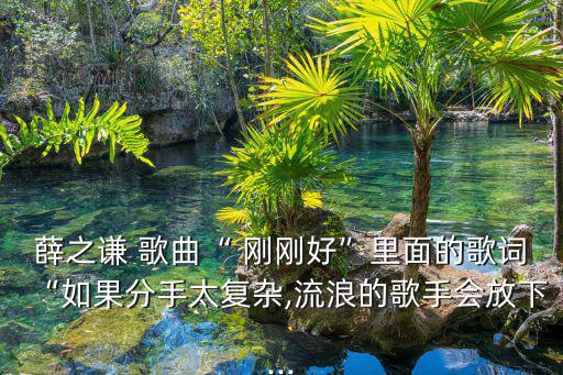 薛之謙 歌曲“ 剛剛好”里面的歌詞“如果分手太復雜,流浪的歌手會放下...