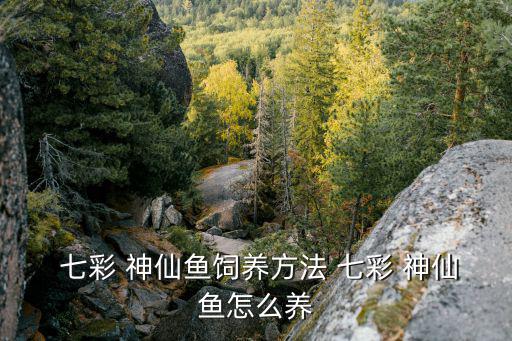  七彩 神仙魚飼養(yǎng)方法 七彩 神仙魚怎么養(yǎng)