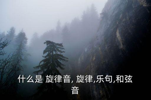 什么是 旋律音, 旋律,樂句,和弦音