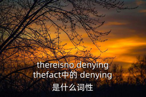 thereisno denyingthefact中的 denying是什么詞性