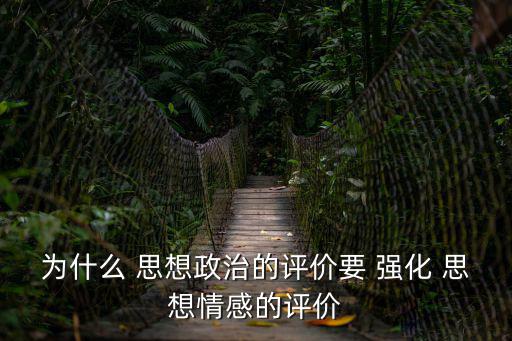 為什么 思想政治的評價要 強(qiáng)化 思想情感的評價