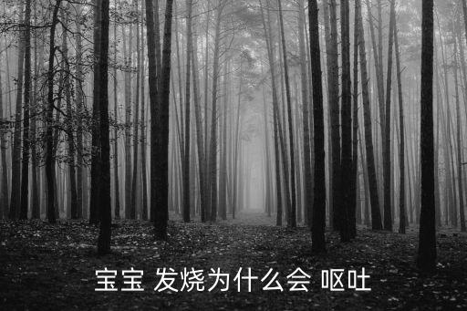 寶寶 發(fā)燒為什么會(huì) 嘔吐