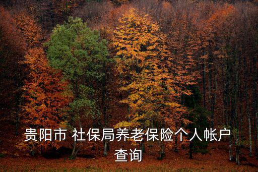  貴陽(yáng)市 社保局養(yǎng)老保險(xiǎn)個(gè)人帳戶 查詢