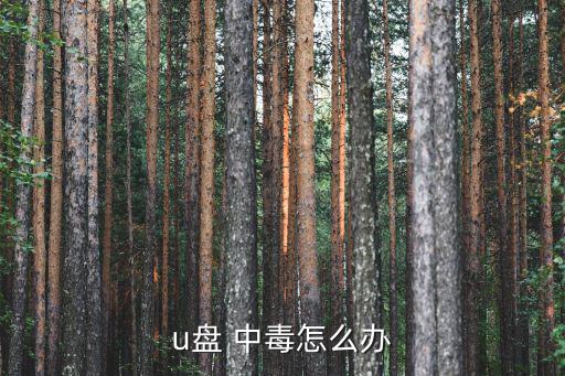 u盤中毒,如何操作u盤中毒?