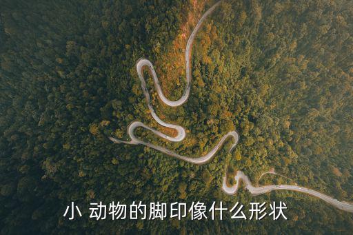 各種小動物圖片,走一趟腳跡了解動物生平