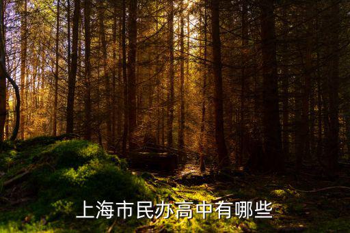 上海市民辦高中有哪些