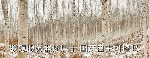 聯(lián)想服務(wù)器還屬于 國產(chǎn)自主可控嗎