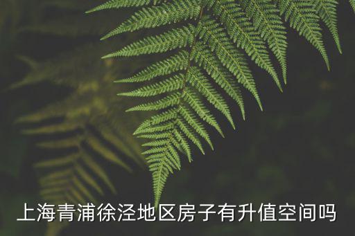 上海青浦徐涇地區房子有升值空間嗎