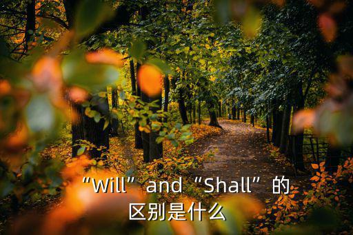 “Will”and“Shall”的區別是什么