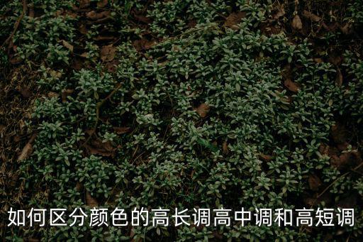 高長調，高長調顏色搭配有哪些
