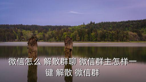 微信怎么 解散群聊 微信群主怎樣一鍵 解散 微信群