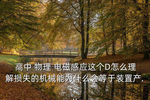  高中 物理 電磁感應(yīng)這個D怎么理解損失的機械能為什么會等于裝置產(chǎn)...