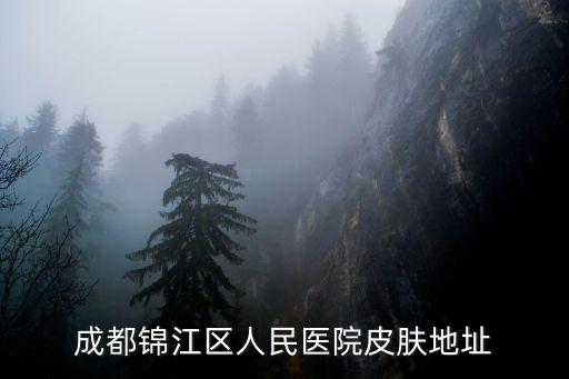 成都市錦江區通匯街26號三號門，上海贏迪市場營銷服務有限公司 成都分公司的地址