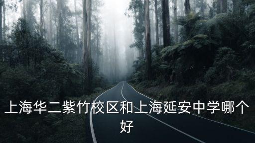 上海華二紫竹校區和上海延安中學哪個好