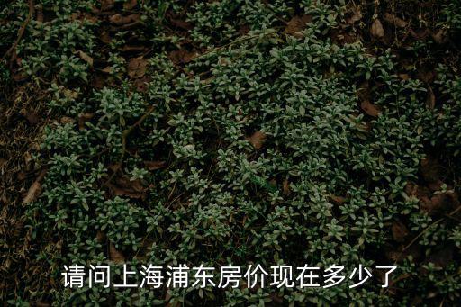 請問上海浦東房價現在多少了
