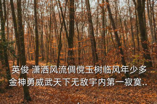  英俊 瀟灑風流倜儻玉樹臨風年少多金神勇威武天下無敵宇內(nèi)第一寂寞...
