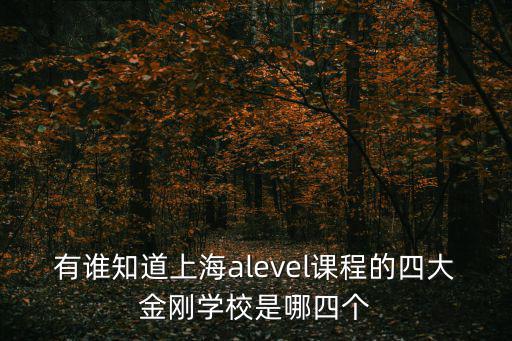 上海ALEVEL培訓學校，上海ALEVEL輔導學校哪家最好瑞瑪ALEVEL 輔導中心