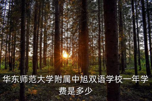 華東師范大學附屬中旭雙語學校一年學費是多少