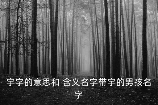 宇字的意思和 含義名字帶宇的男孩名字