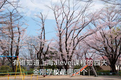 上海四大alevel學校，有誰知道上海alevel課程的四大金剛學校是哪四個