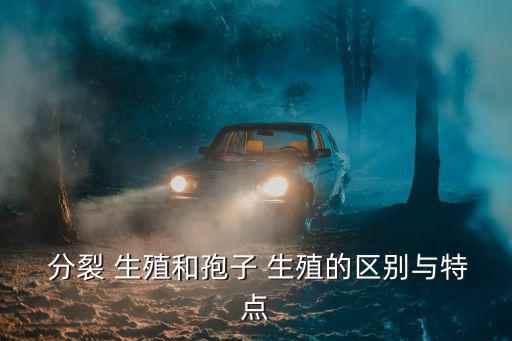  分裂 生殖和孢子 生殖的區(qū)別與特點(diǎn)