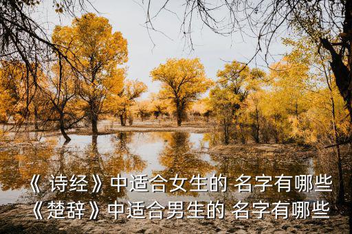 出自詩經的名字,《楚辭》中的男生名字:1、1