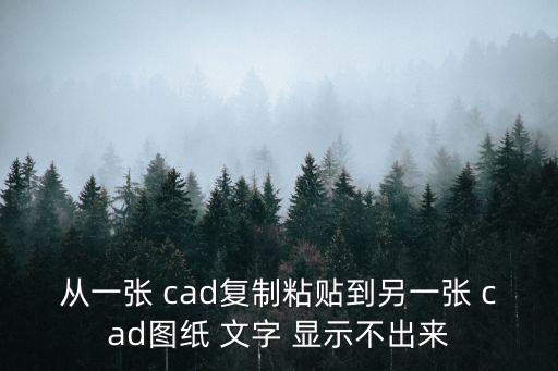 從一張 cad復制粘貼到另一張 cad圖紙 文字 顯示不出來