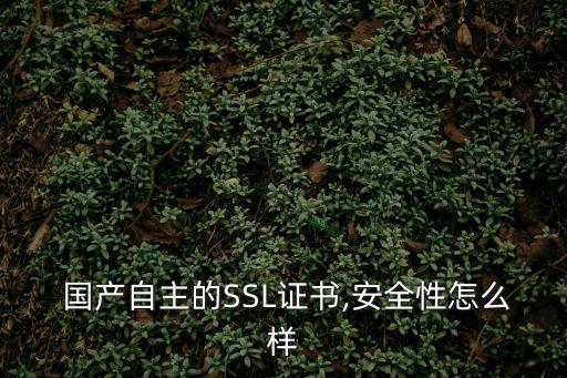 國產(chǎn)自,國產(chǎn)汽車引進自主創(chuàng)新實現(xiàn)軟硬件全國產(chǎn)自主可控