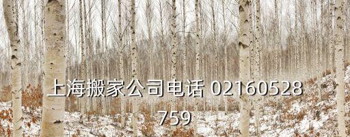 上海搬家公司電話 02160528759