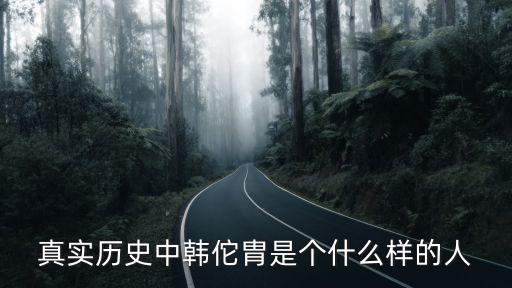 慶元黨禁,宋朝名臣韓琦曾孫韓成官為保寧君