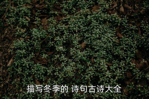 描寫冬季的 詩句古詩大全