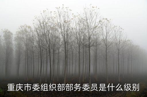 重慶市委組織部部務委員是什么級別