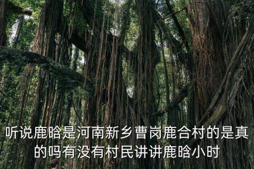 聽說鹿晗是河南新鄉曹崗鹿合村的是真的嗎有沒有村民講講鹿晗小時