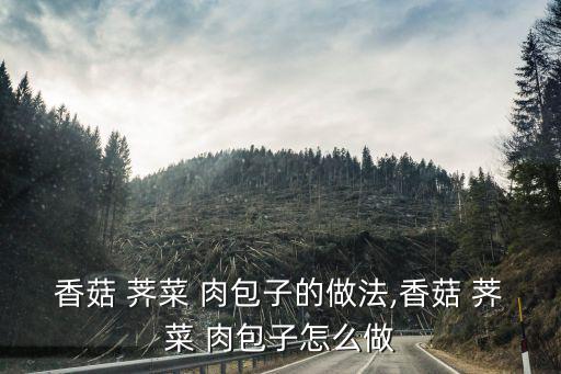 薺菜肉包子,素面蕎麥包子怎么做才好吃?