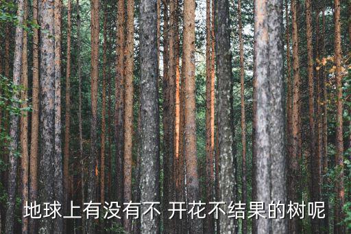 不開花的樹,不花不結(jié)果的樹種有哪些?
