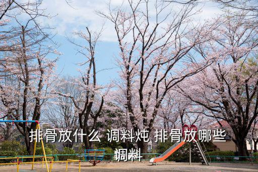  排骨放什么 調料燉 排骨放哪些 調料
