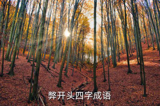 弊開頭四字成語