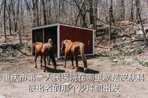 重慶市第一人民醫院在哪里就是皮膚科很出名的那個沙坪壩出發