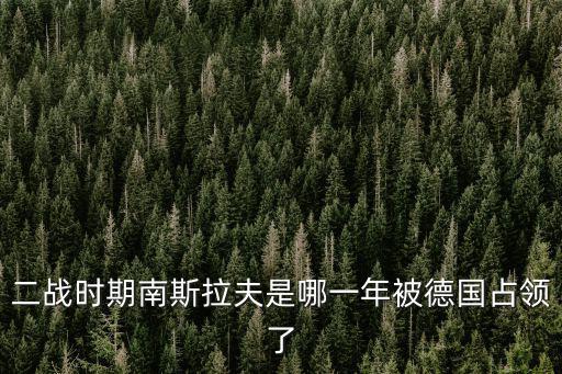 二戰時期南斯拉夫是哪一年被德國占領了