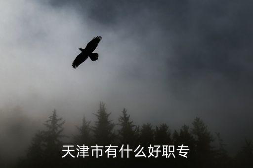 天津市回民職業中專，天津市有什么好職專