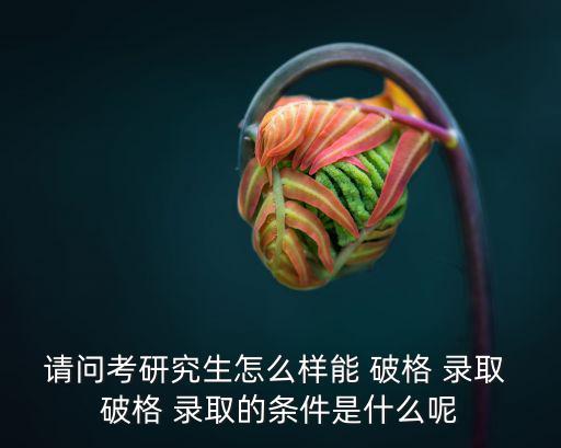 請問考研究生怎么樣能 破格 錄取 破格 錄取的條件是什么呢