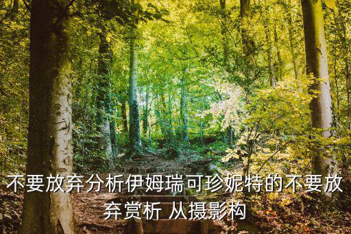 不要放棄分析伊姆瑞可珍妮特的不要放棄賞析 從攝影構(gòu)
