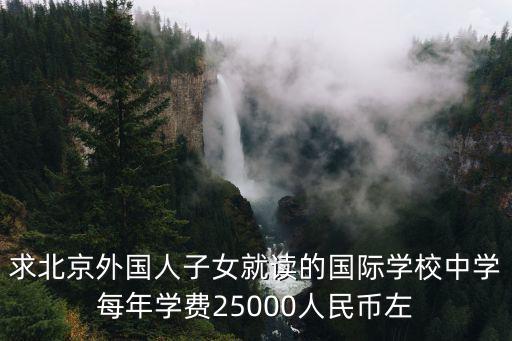 求北京外國(guó)人子女就讀的國(guó)際學(xué)校中學(xué)每年學(xué)費(fèi)25000人民幣左