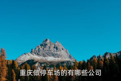 重慶市融科停車場管理有限公司，重慶市高新區陳家坪紳帝大廈B幢52是什么公司