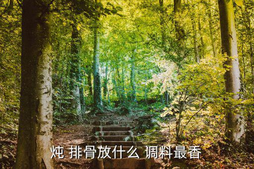 燉排骨放什么調料,火鍋排骨怎么做好吃!