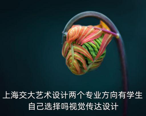 上海交大藝術(shù)設(shè)計兩個專業(yè)方向有學生自己選擇嗎視覺傳達設(shè)計